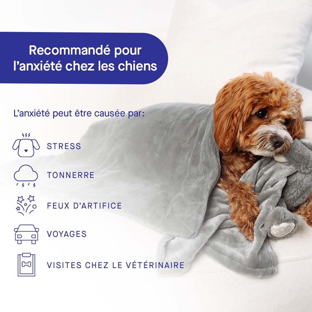 Canada Pooch Weighted Calming Blanket - Image 9