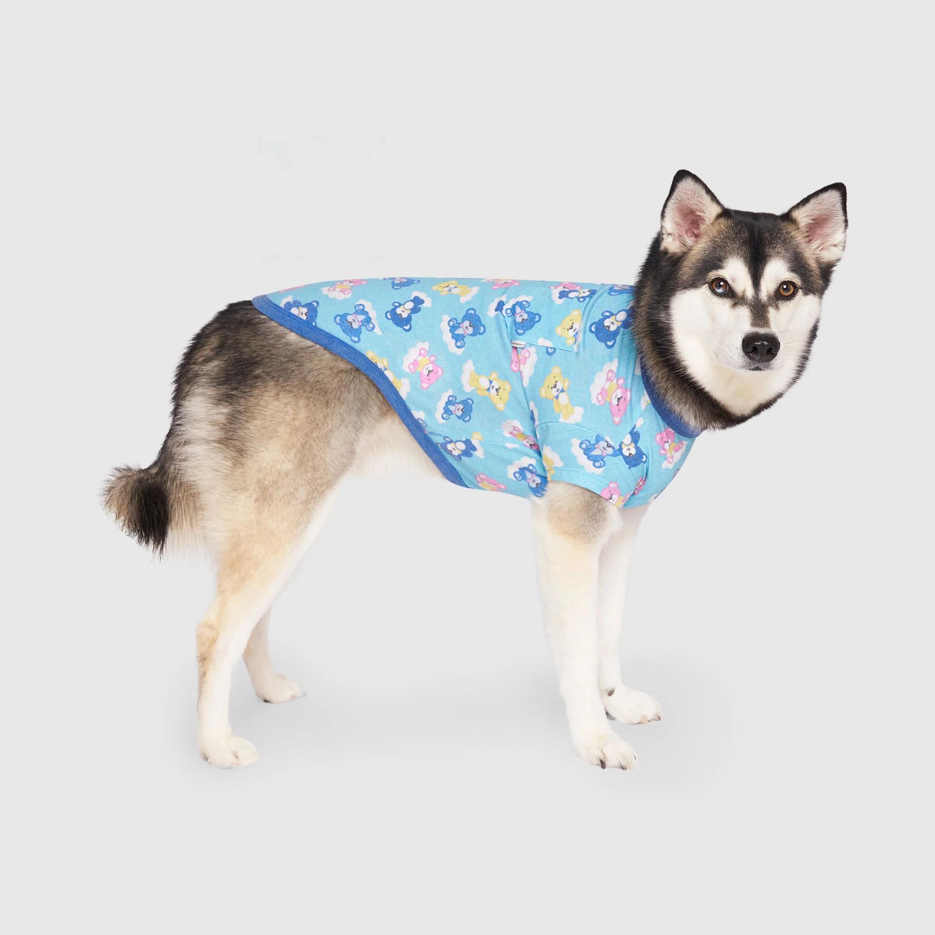 Canada Pooch Follow Me Tee - Image 21