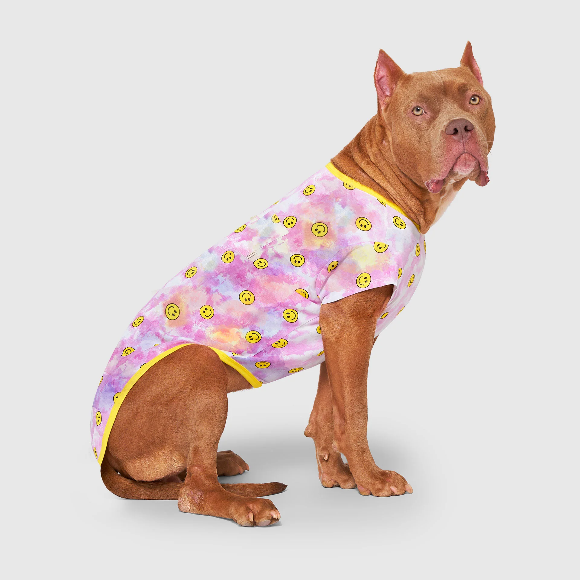 Canada Pooch Follow Me Tee UV Reveal