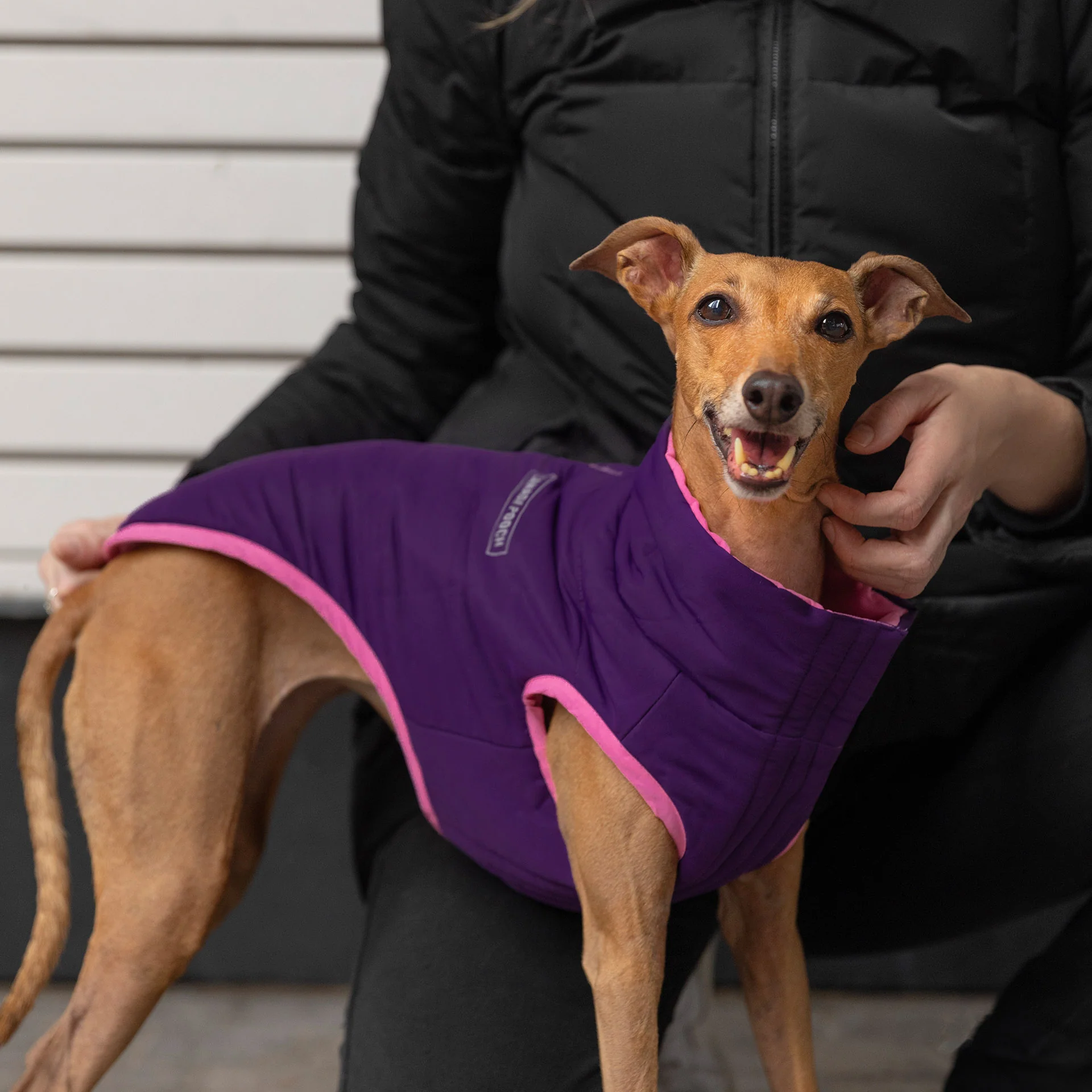 Canada Pooch Reversible Puffer Vest - Image 5