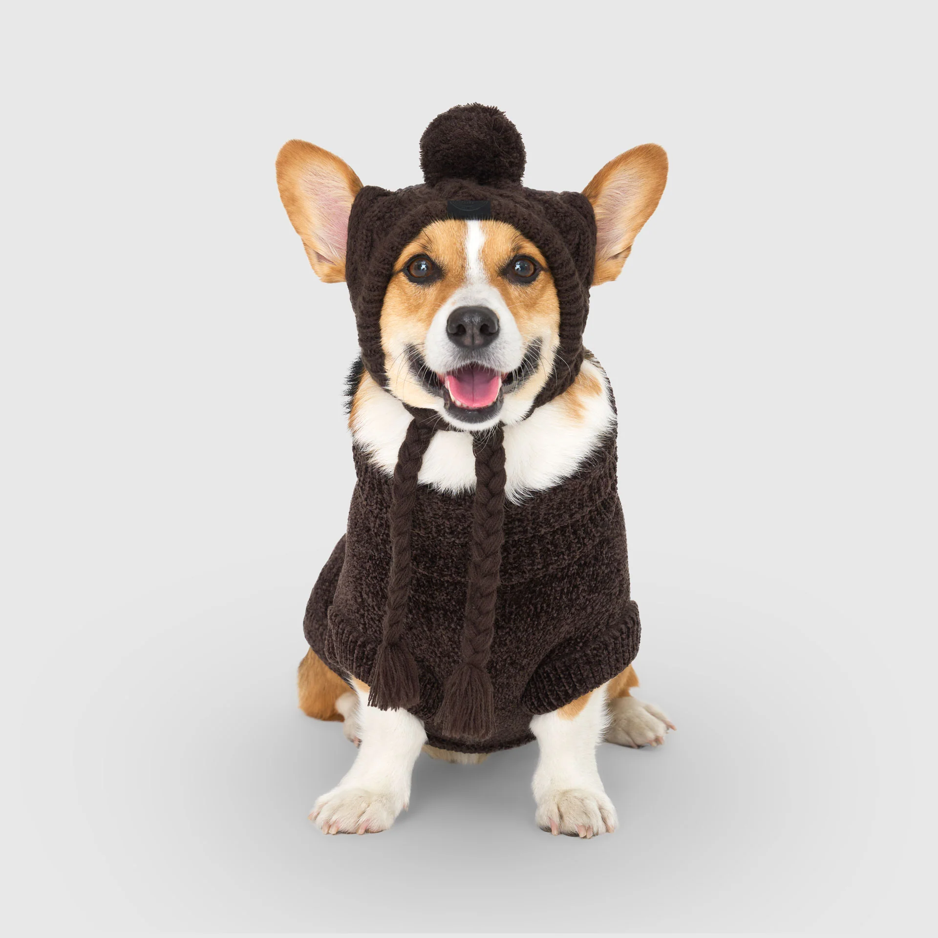 Canada Pooch Soho Sweater - Image 14
