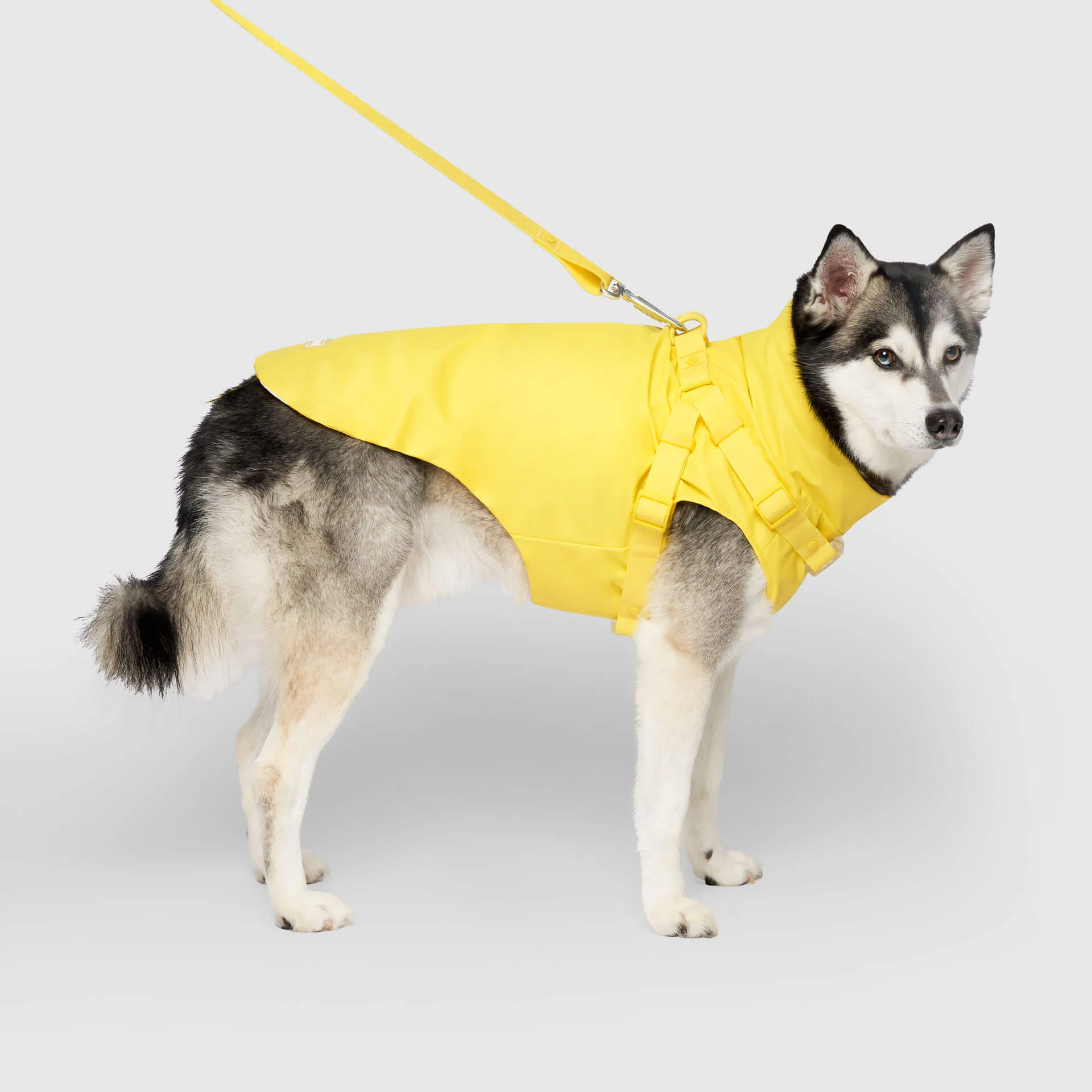 Canada Pooch Harness Raincoat