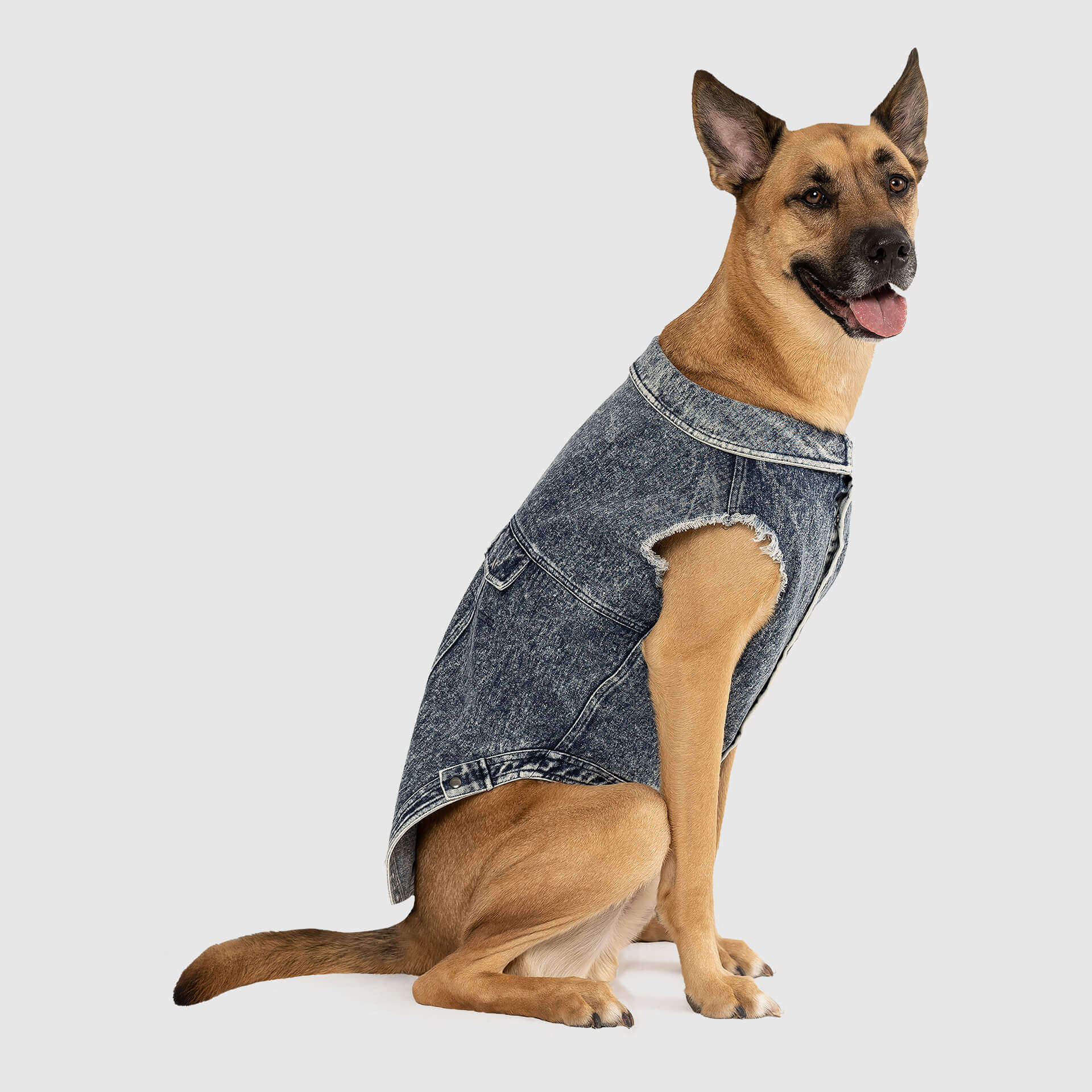 Canada Pooch Downtown Denim Vest