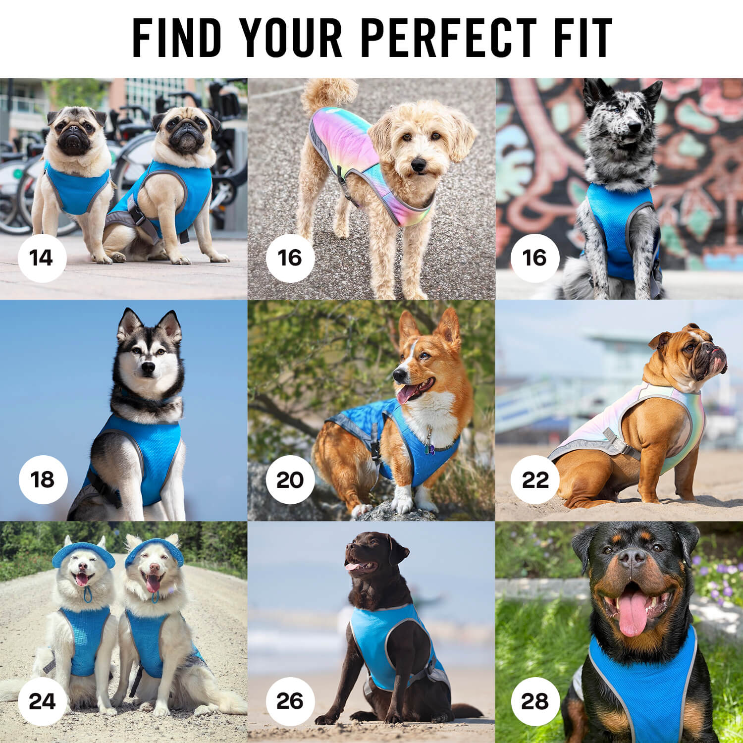 Canada Pooch Chill Seeker Cooling Vest - Image 7
