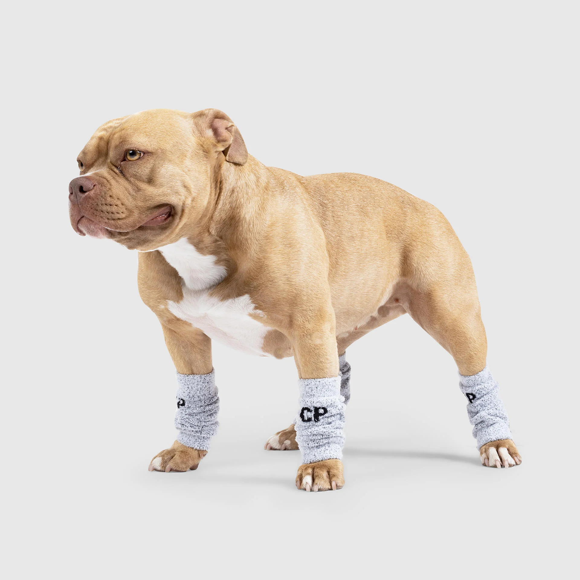 Canada Pooch Work It Warmers
