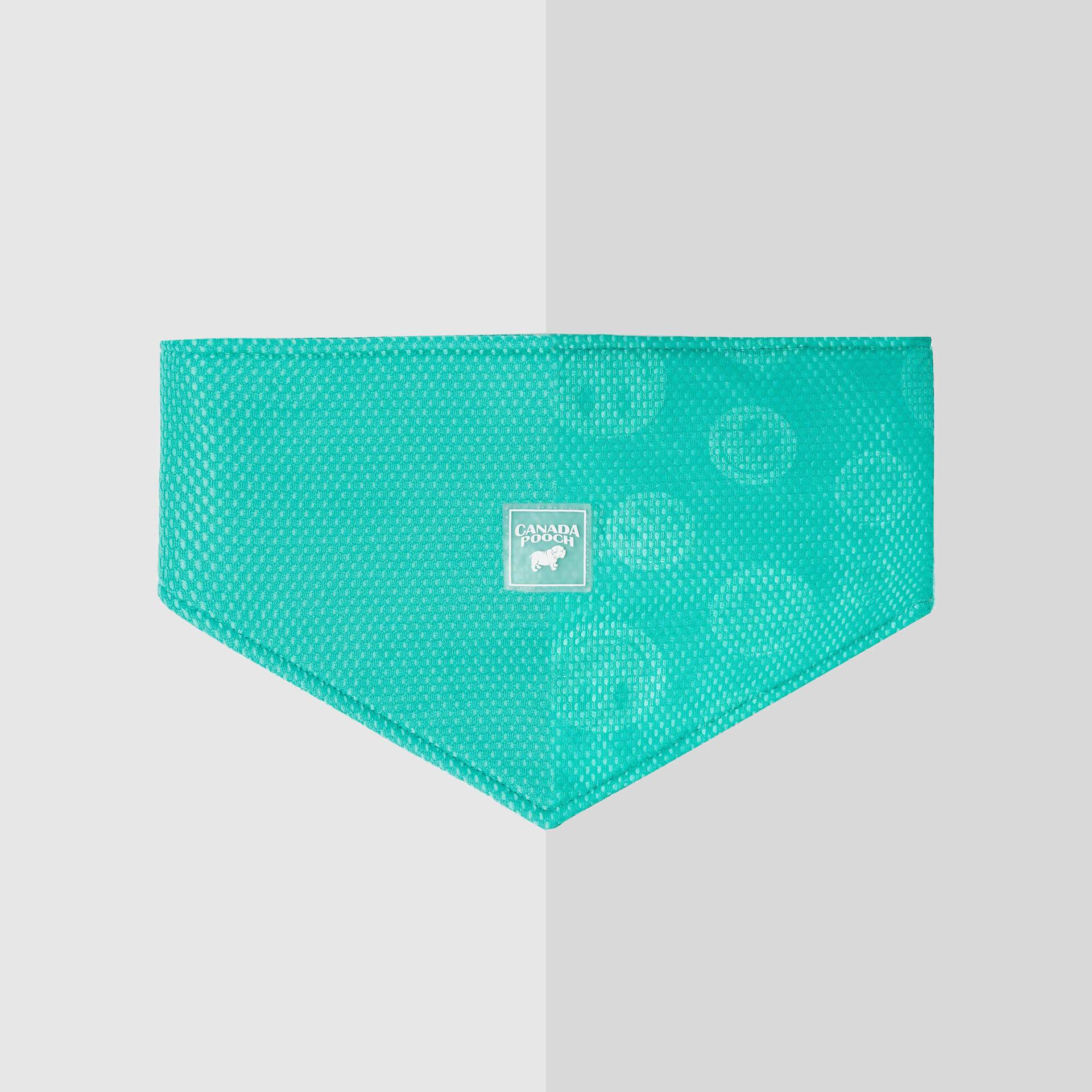 Canada Pooch Cooling Bandana Wet Reveal - Image 3