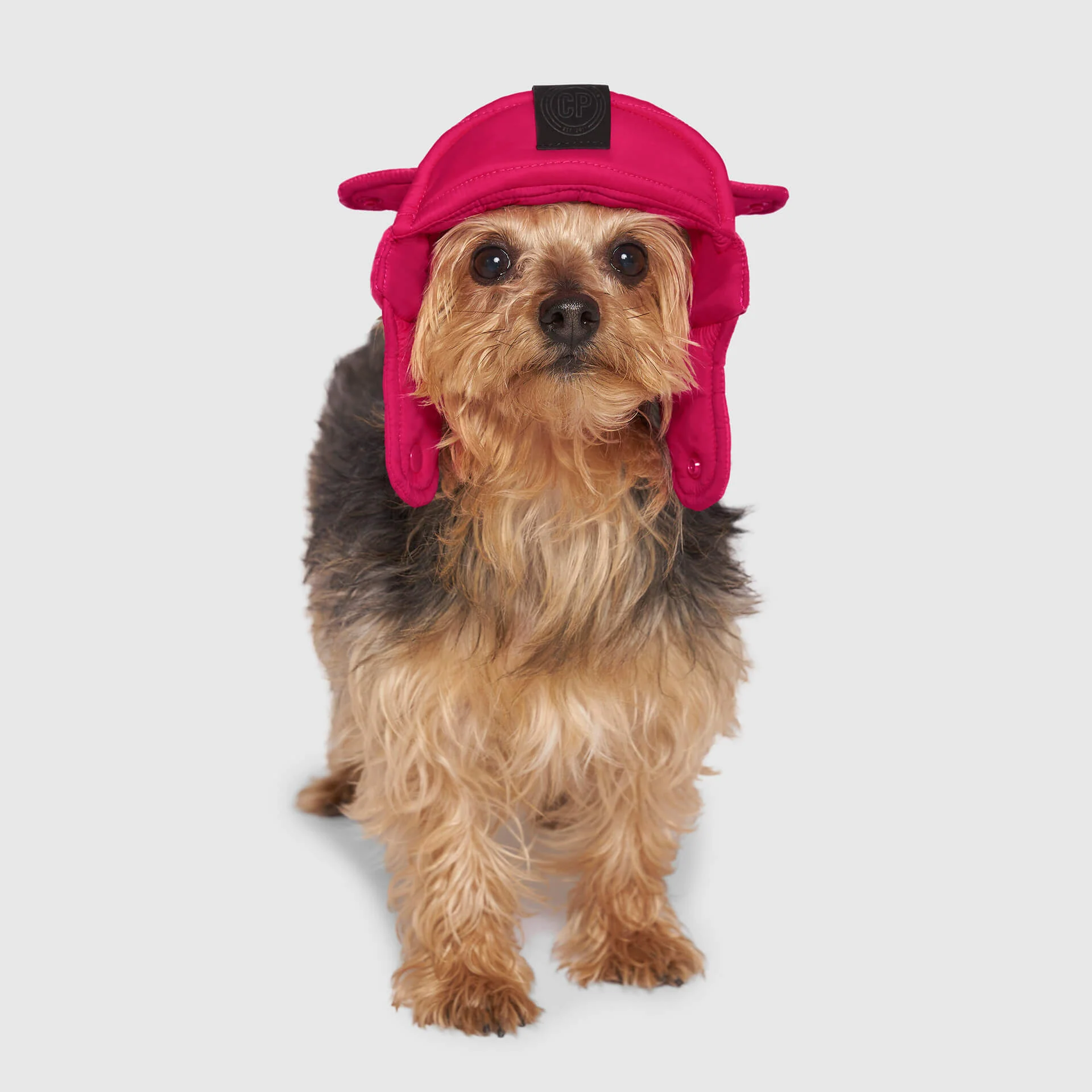 Canada Pooch Puffer Hat