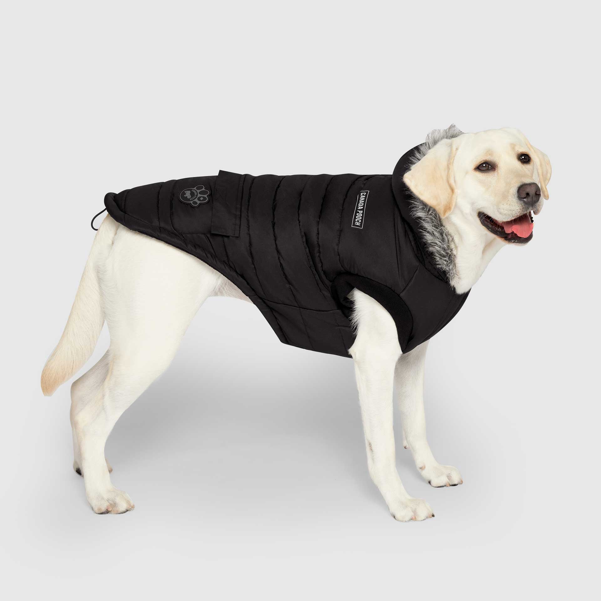 Canada Pooch True North Parka - Image 21
