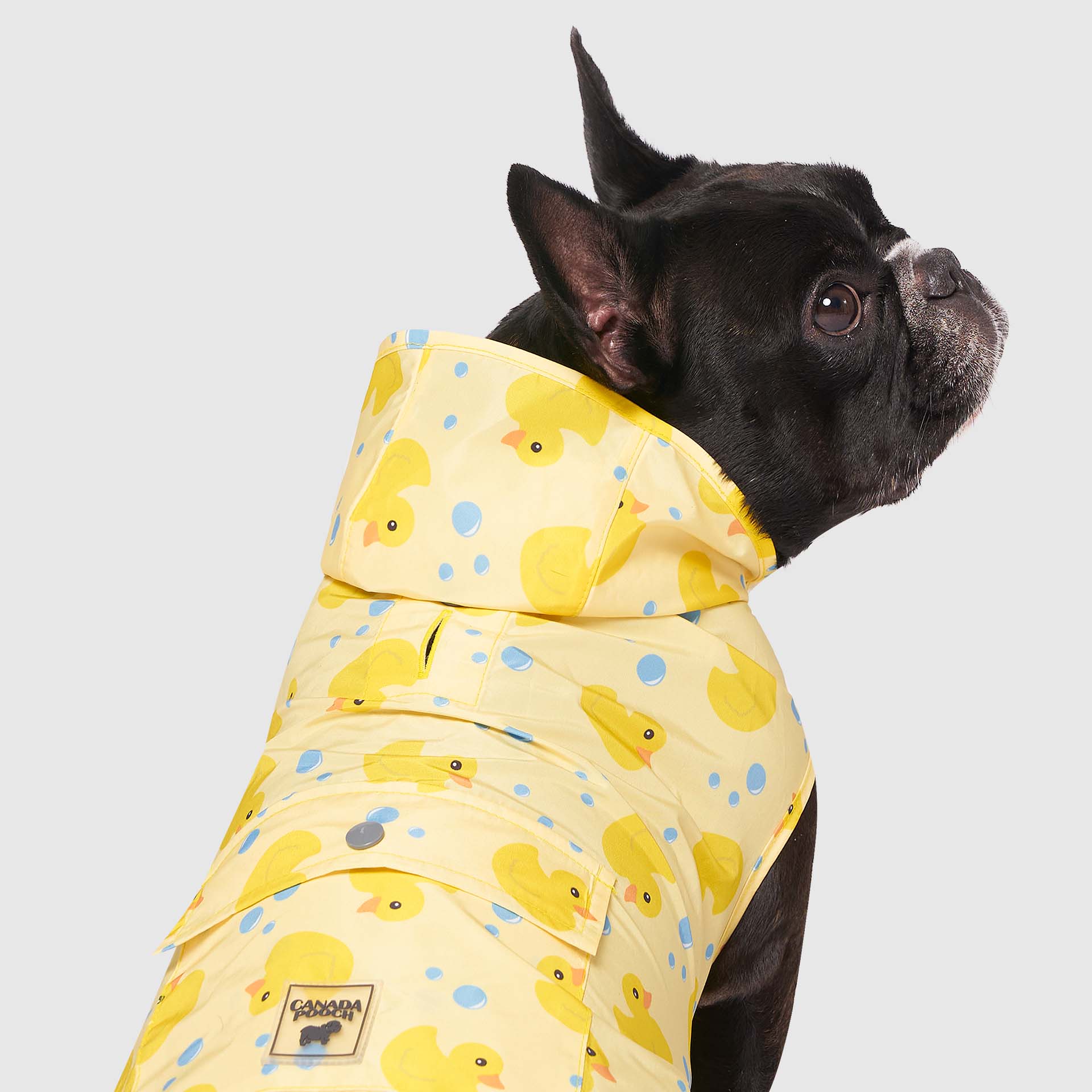 Canada Pooch Pick Me Poncho — SKU SB-A53199-ADDD5996031858 - Image 21