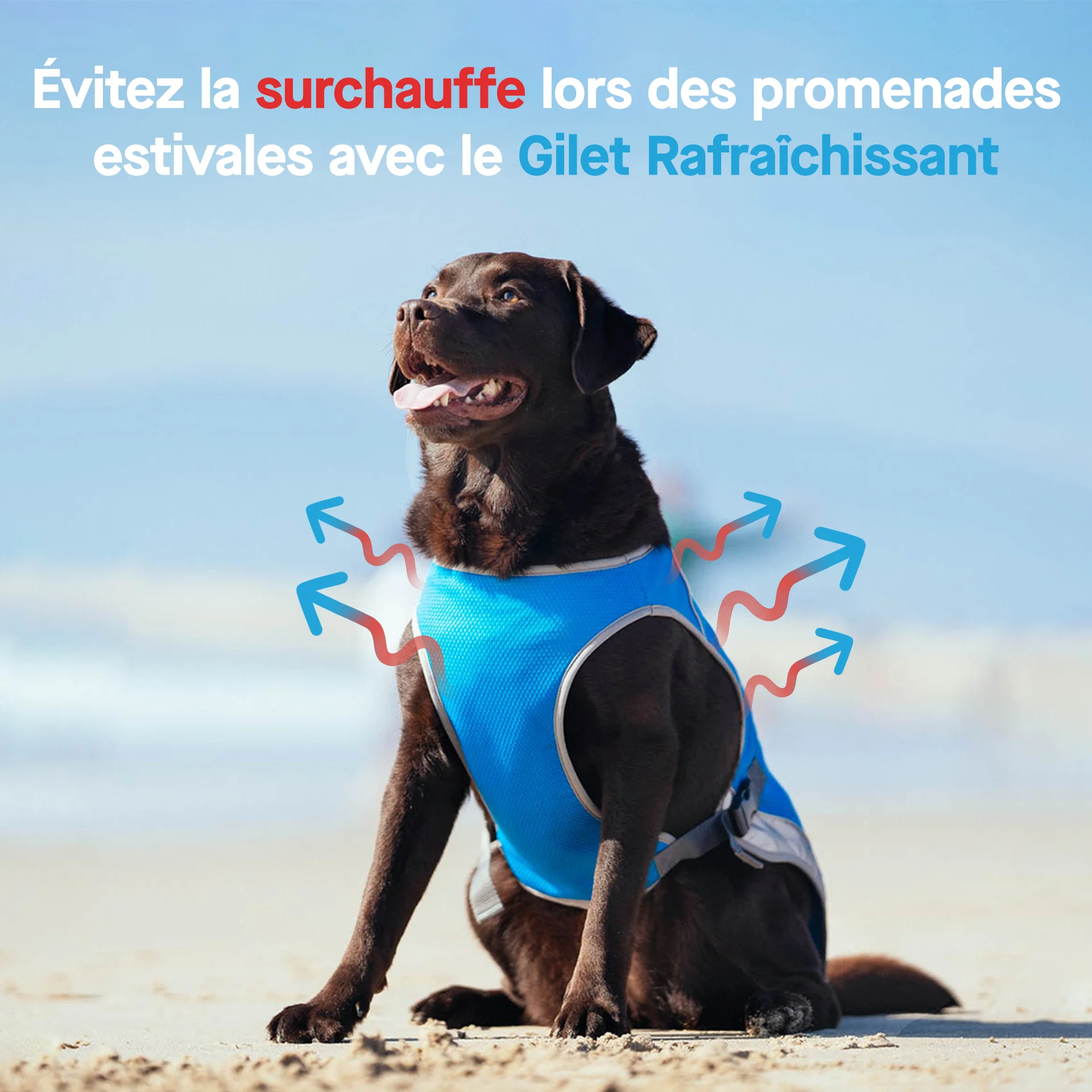 Canada Pooch Chill Seeker Cooling Vest - Image 3