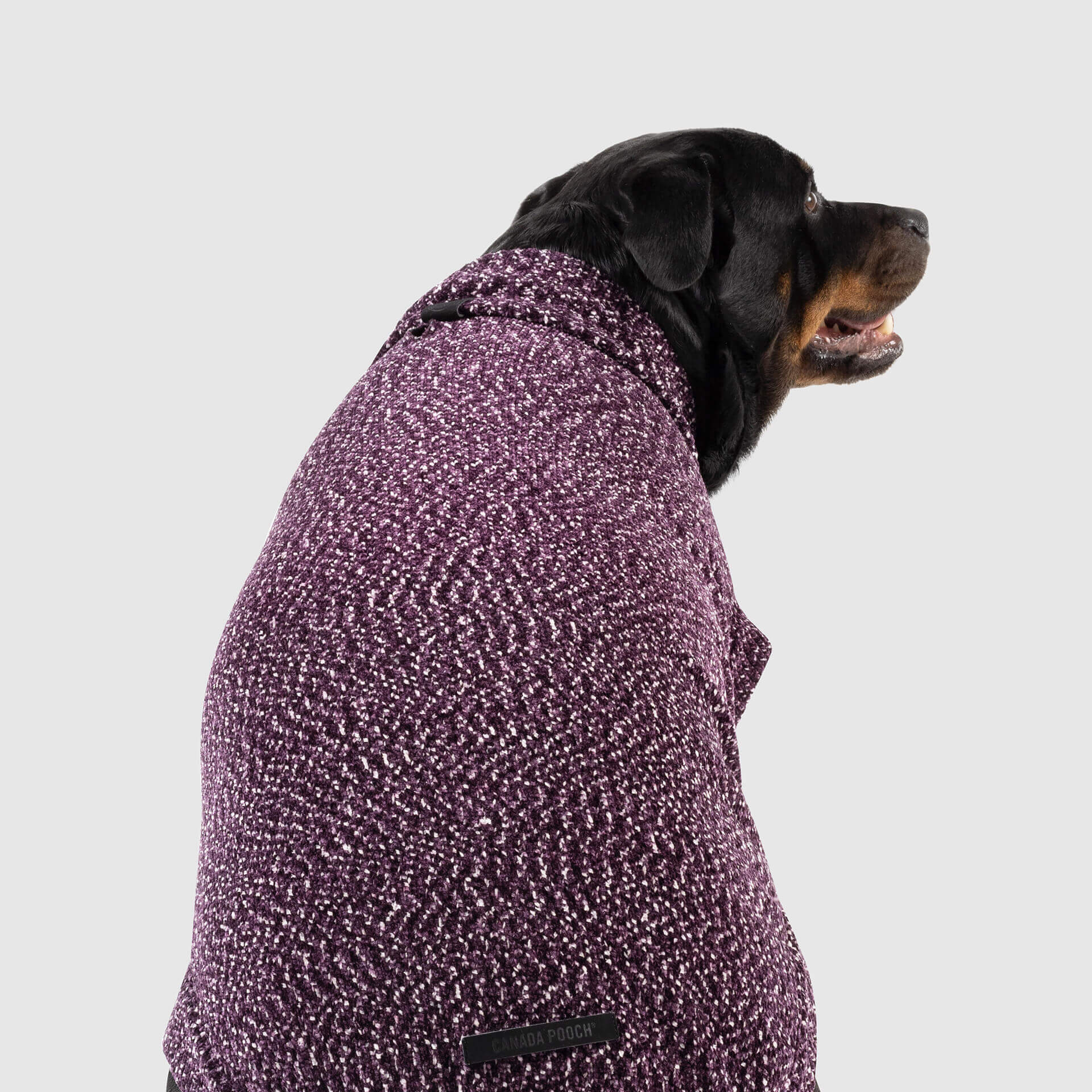 Canada Pooch Soho Sweater - Image 7