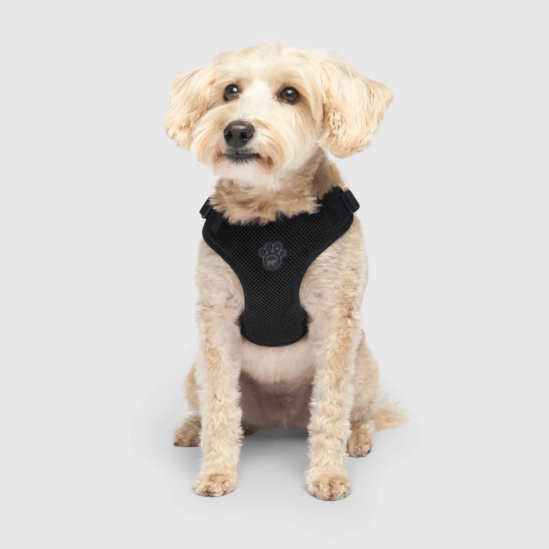 Canada Pooch Easy-On Step-In Harness - Image 5