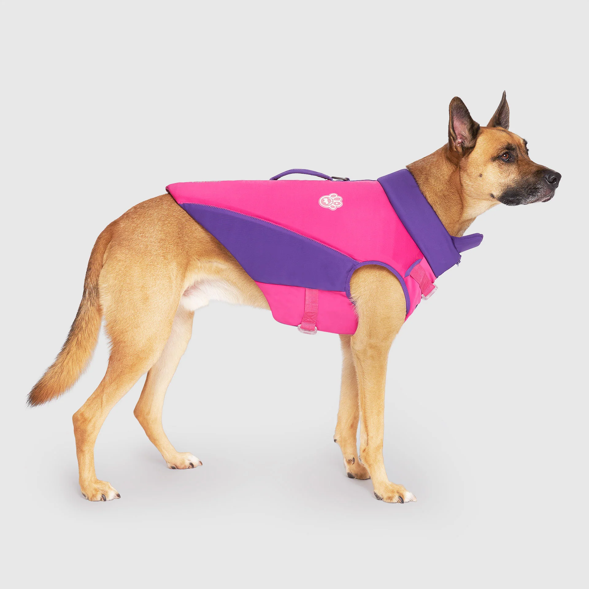 Canada Pooch High Tide Life Jacket - Image 7