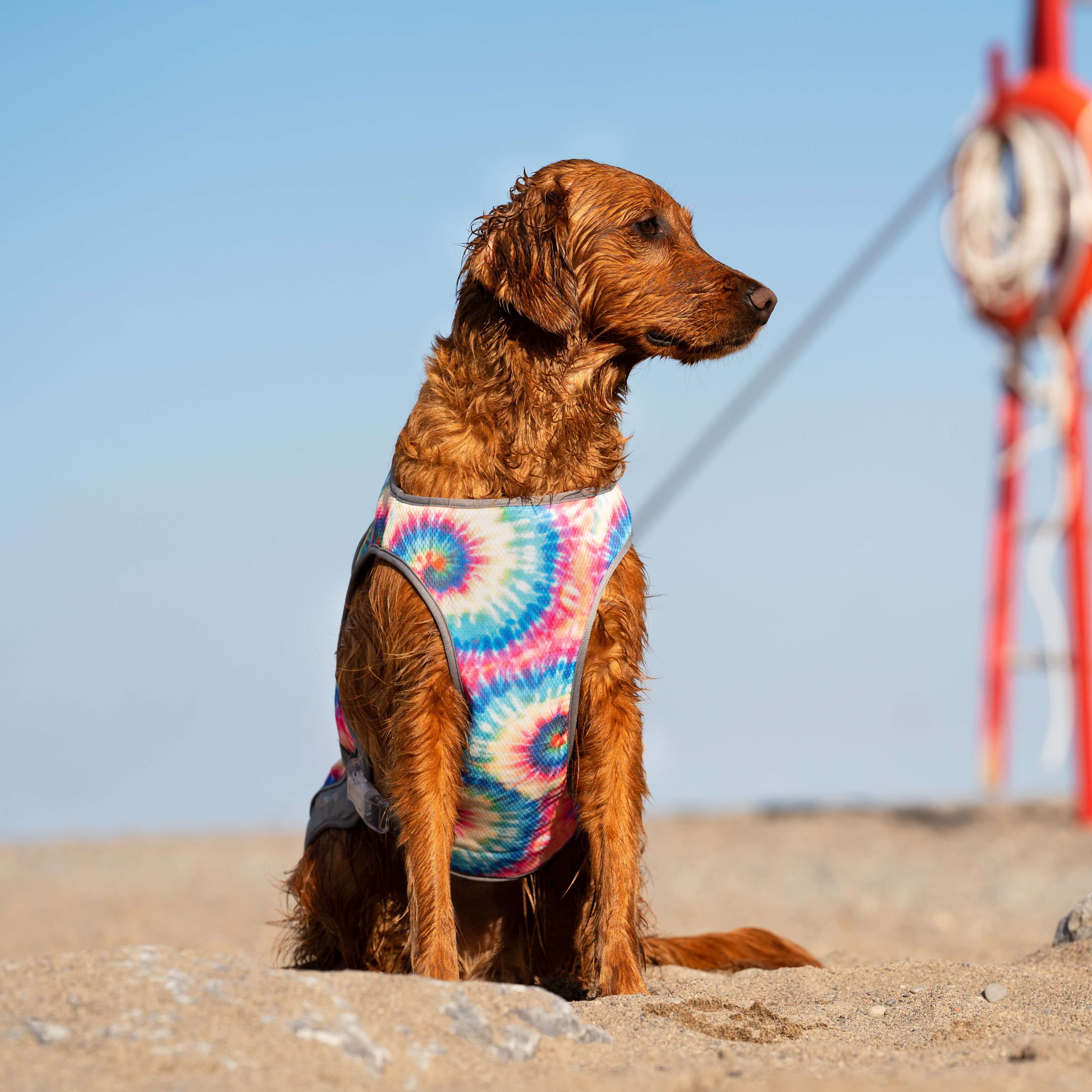 Canada Pooch Chill Seeker Cooling Vest - Image 19