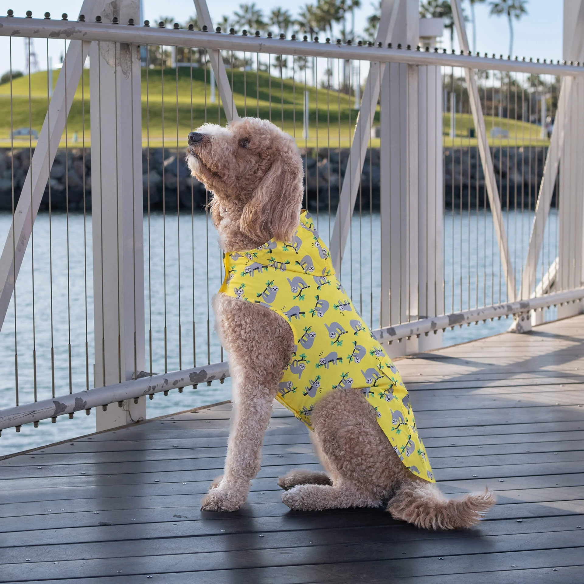 Canada Pooch Pick Me Poncho — SKU SB-A53199-ADDD5996031858 - Image 27