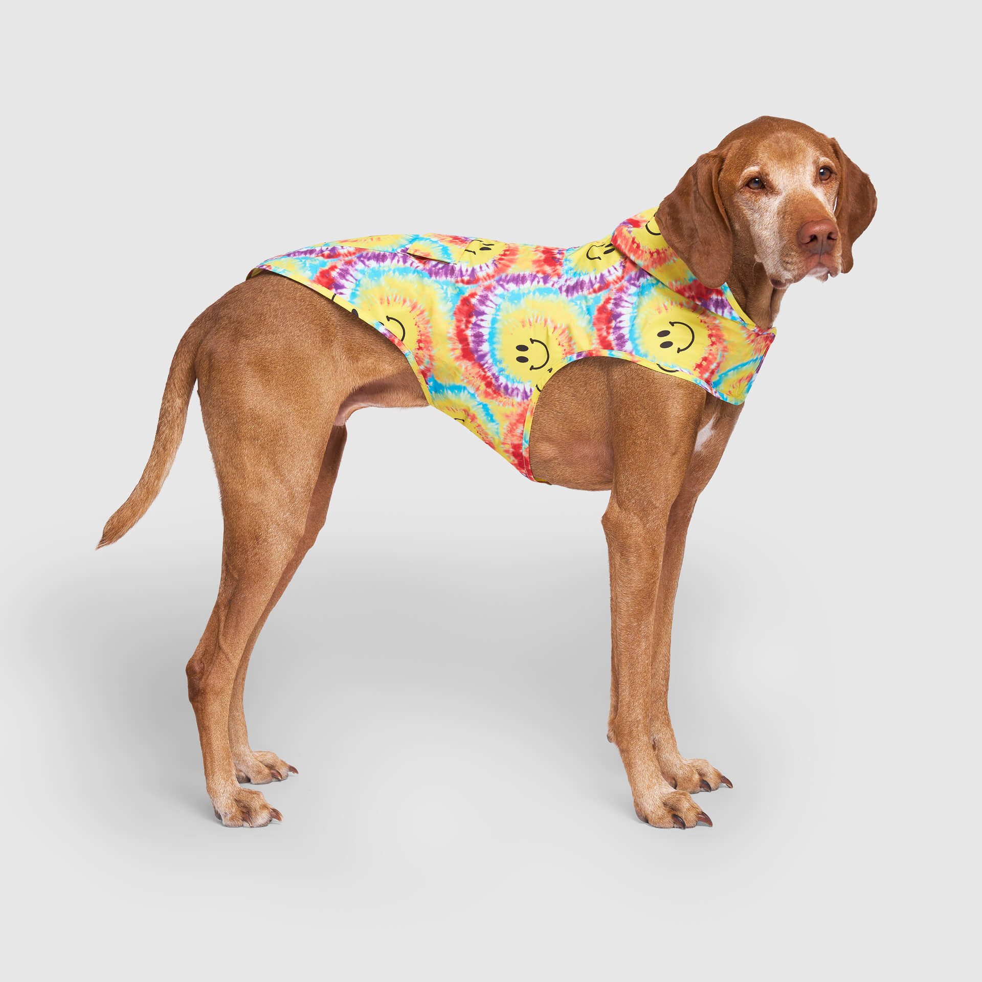Canada Pooch Pick Me Poncho — SKU SB-A53199-ADDD5996031858 - Image 28