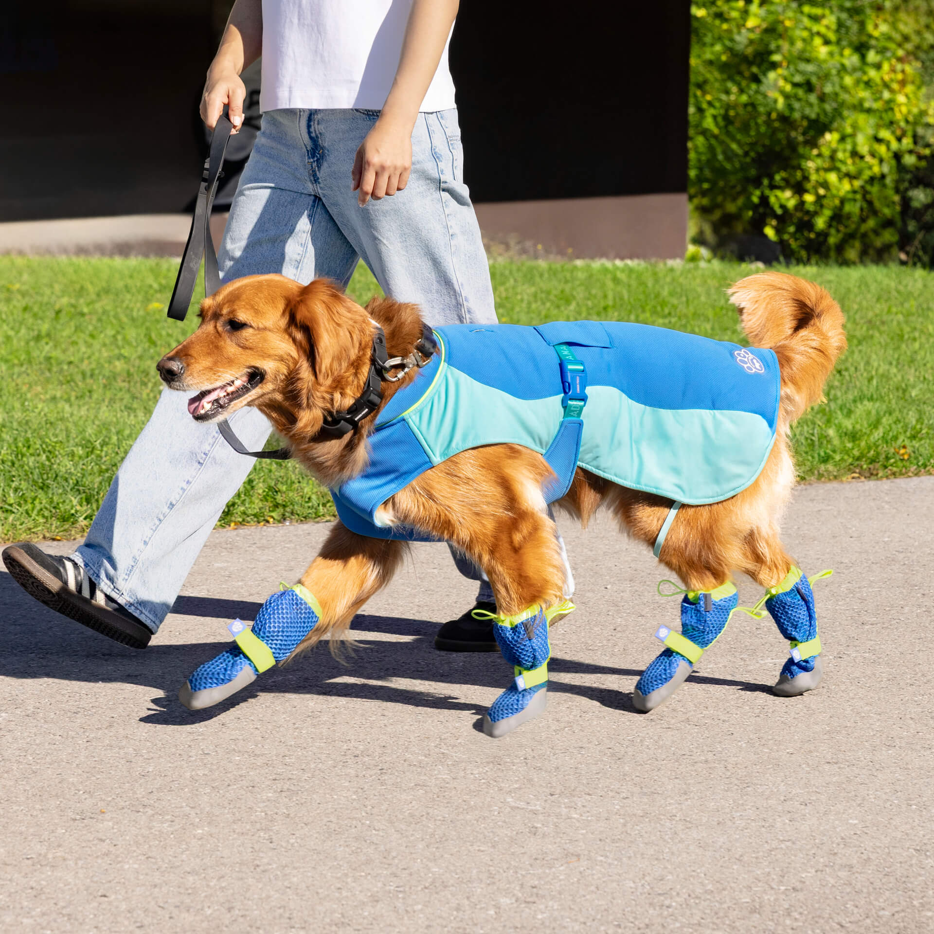 Canada Pooch Hot Pavement Boots - Image 16