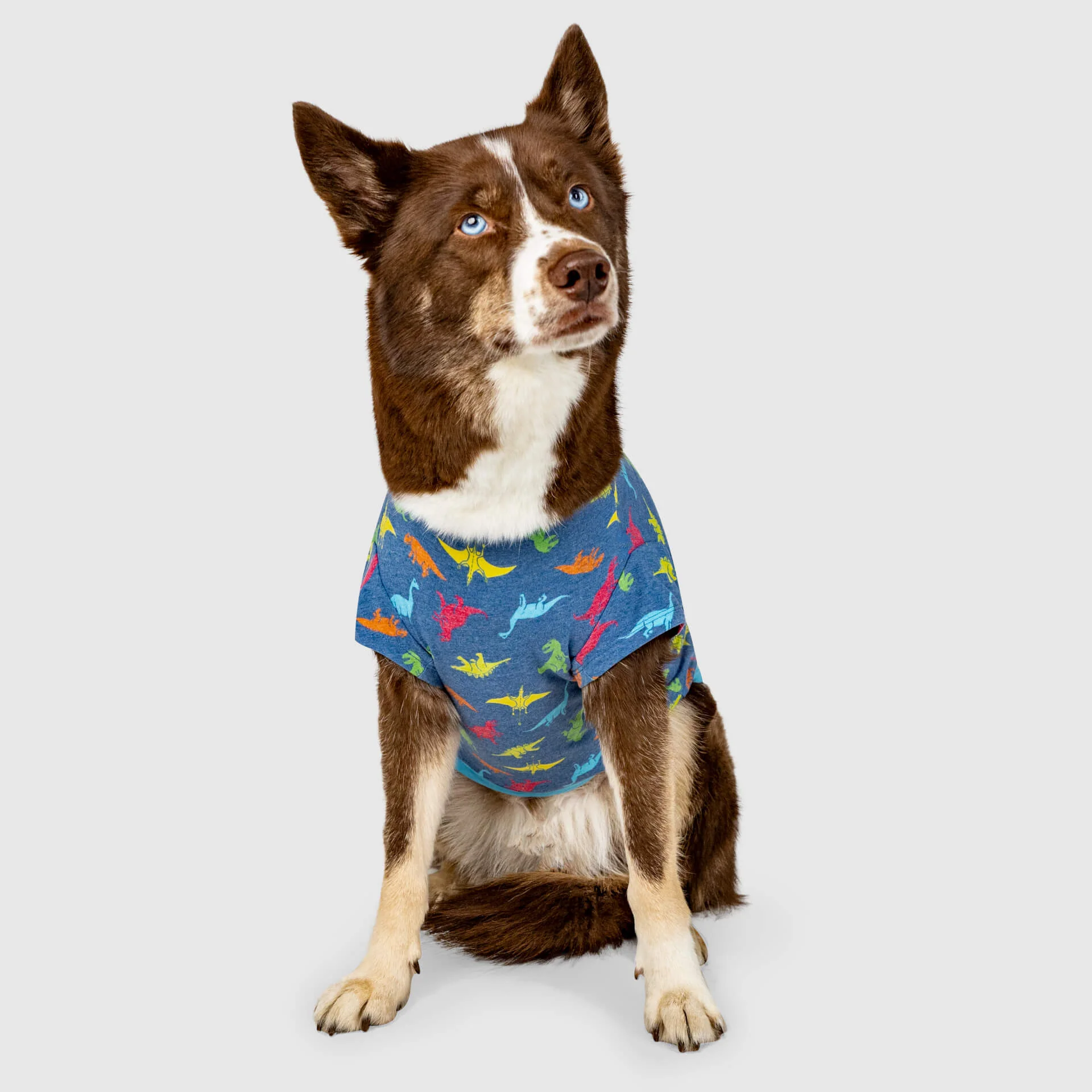 Canada Pooch Follow Me Tee - Image 13