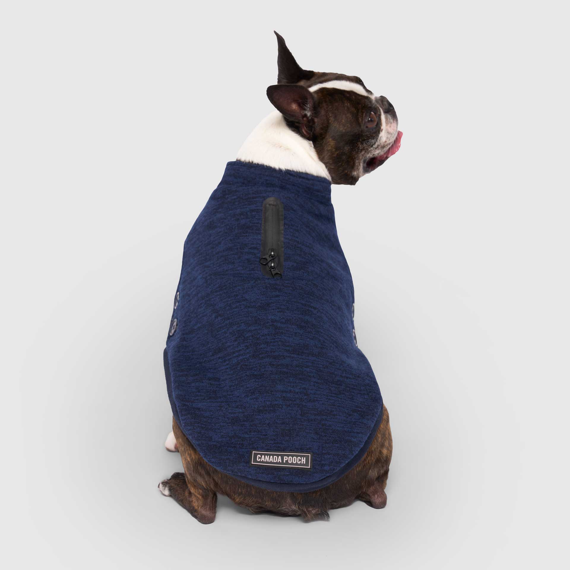 Canada Pooch Waterproof Sweater - Image 12