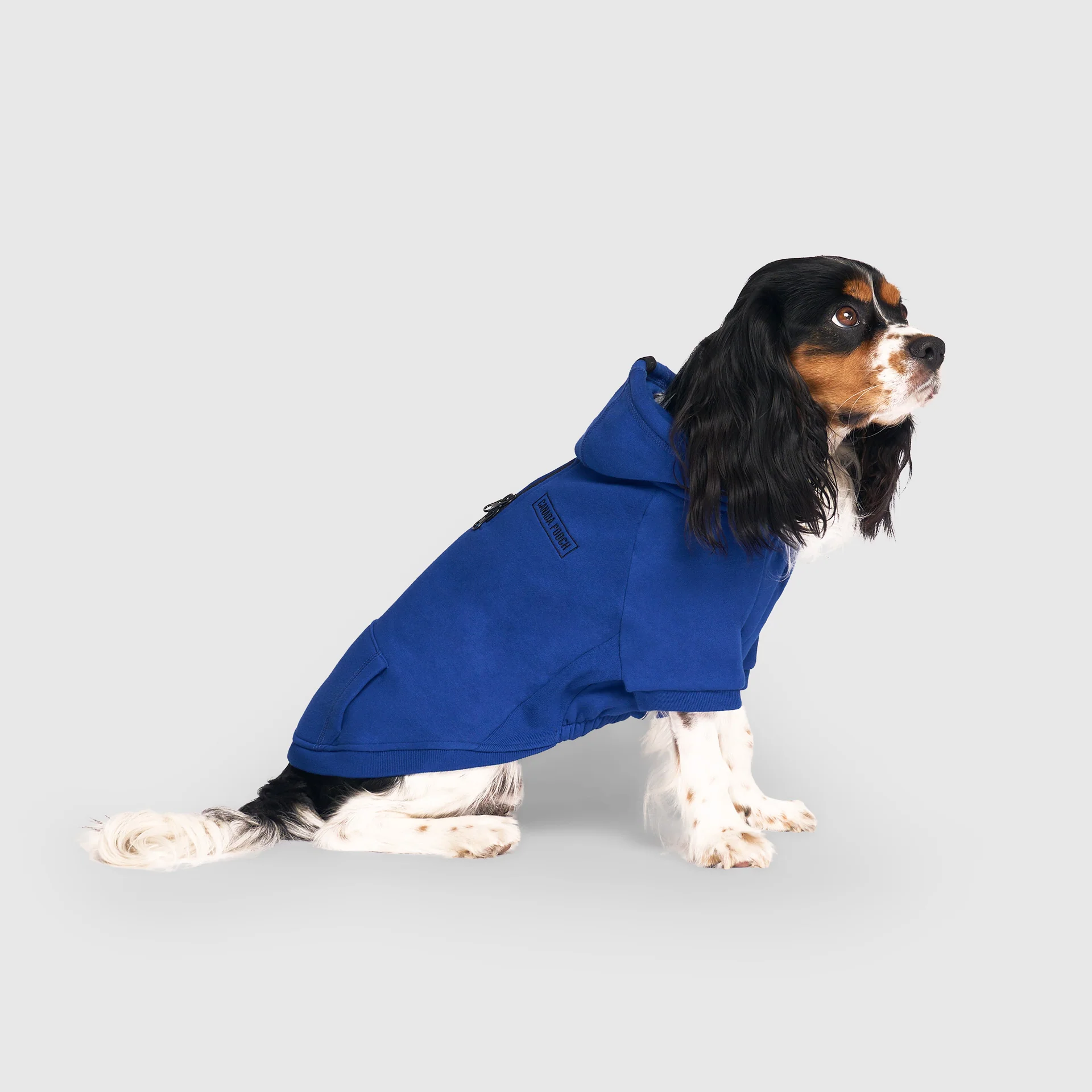Canada Pooch Eco+ Everyday Hoodie