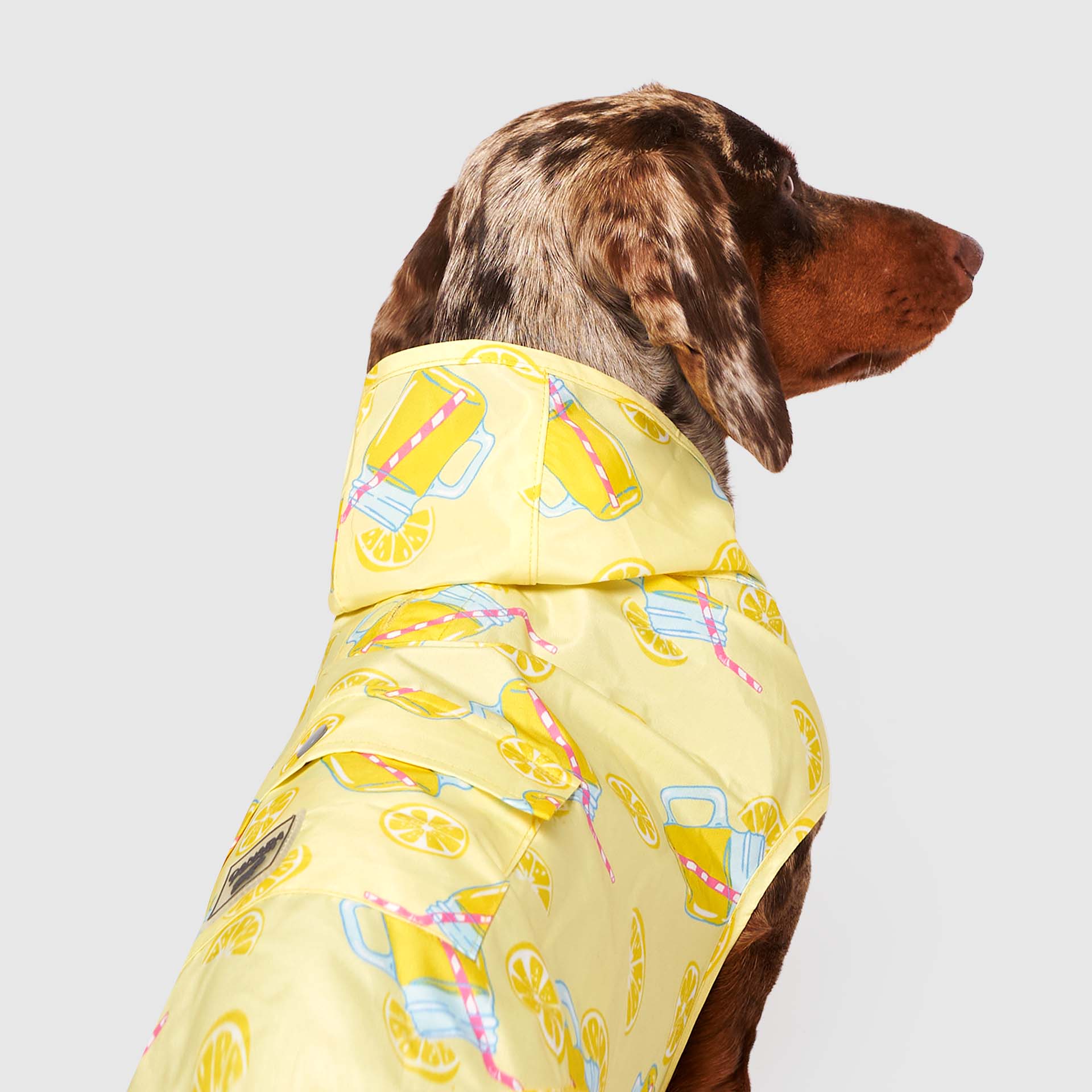 Canada Pooch Pick Me Poncho — SKU SB-A53199-ADDD5996031858 - Image 3