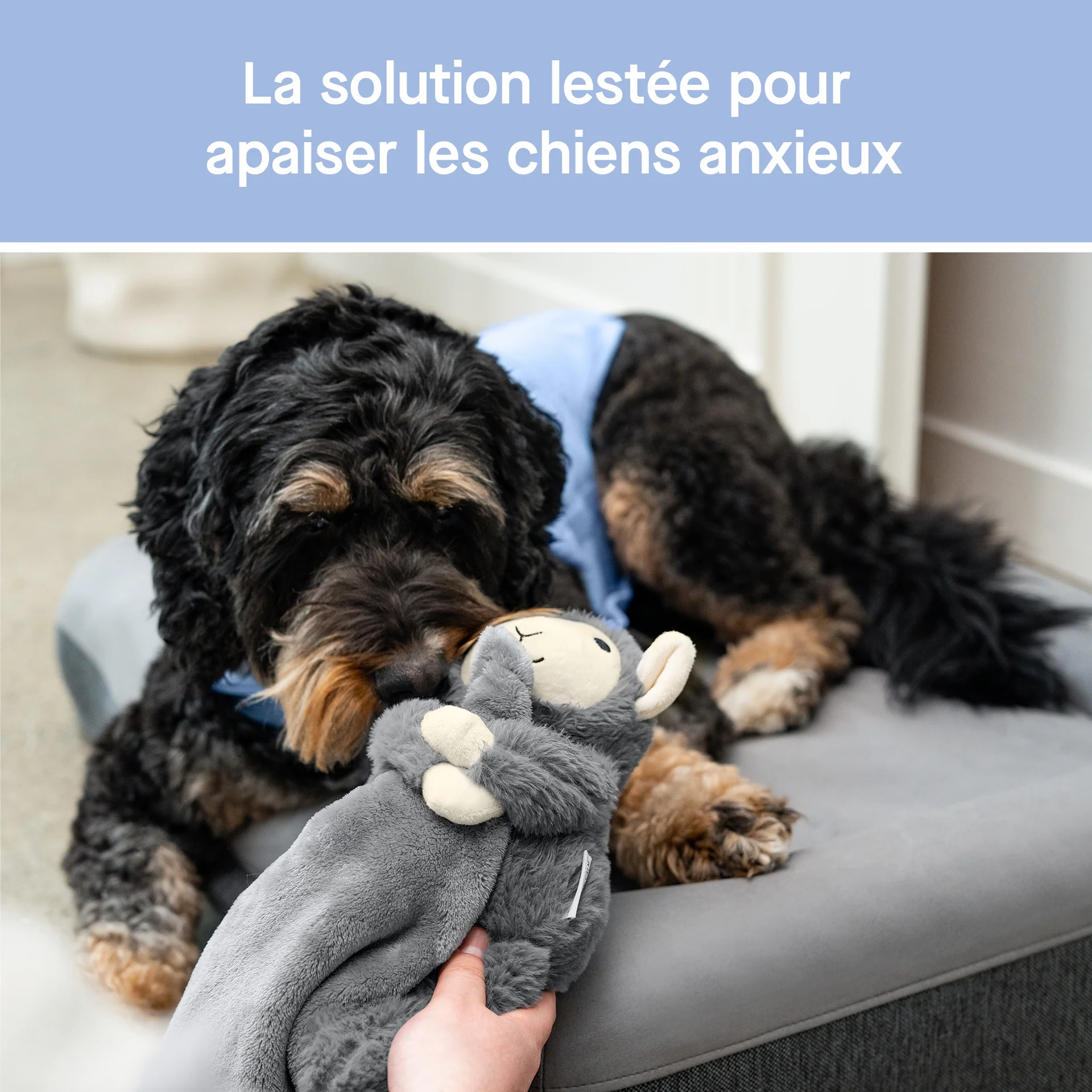 Canada Pooch Weighted Calming Toy - Image 3