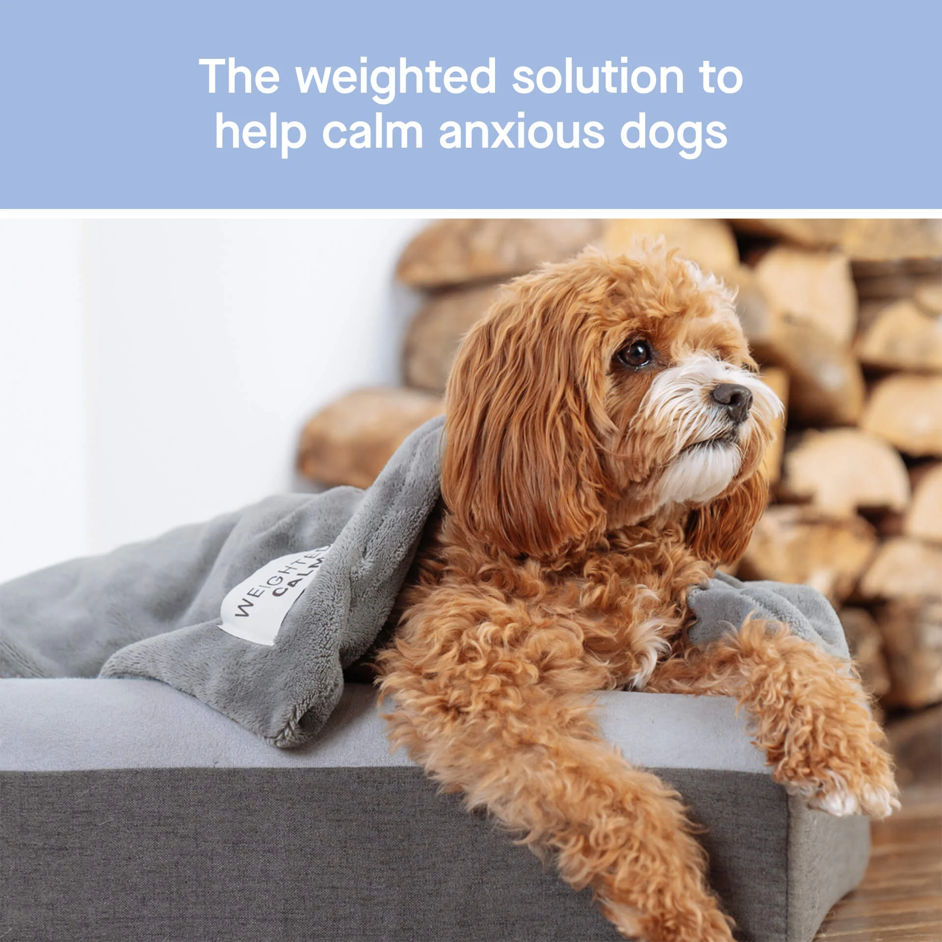 Canada Pooch Weighted Calming Blanket - Image 2