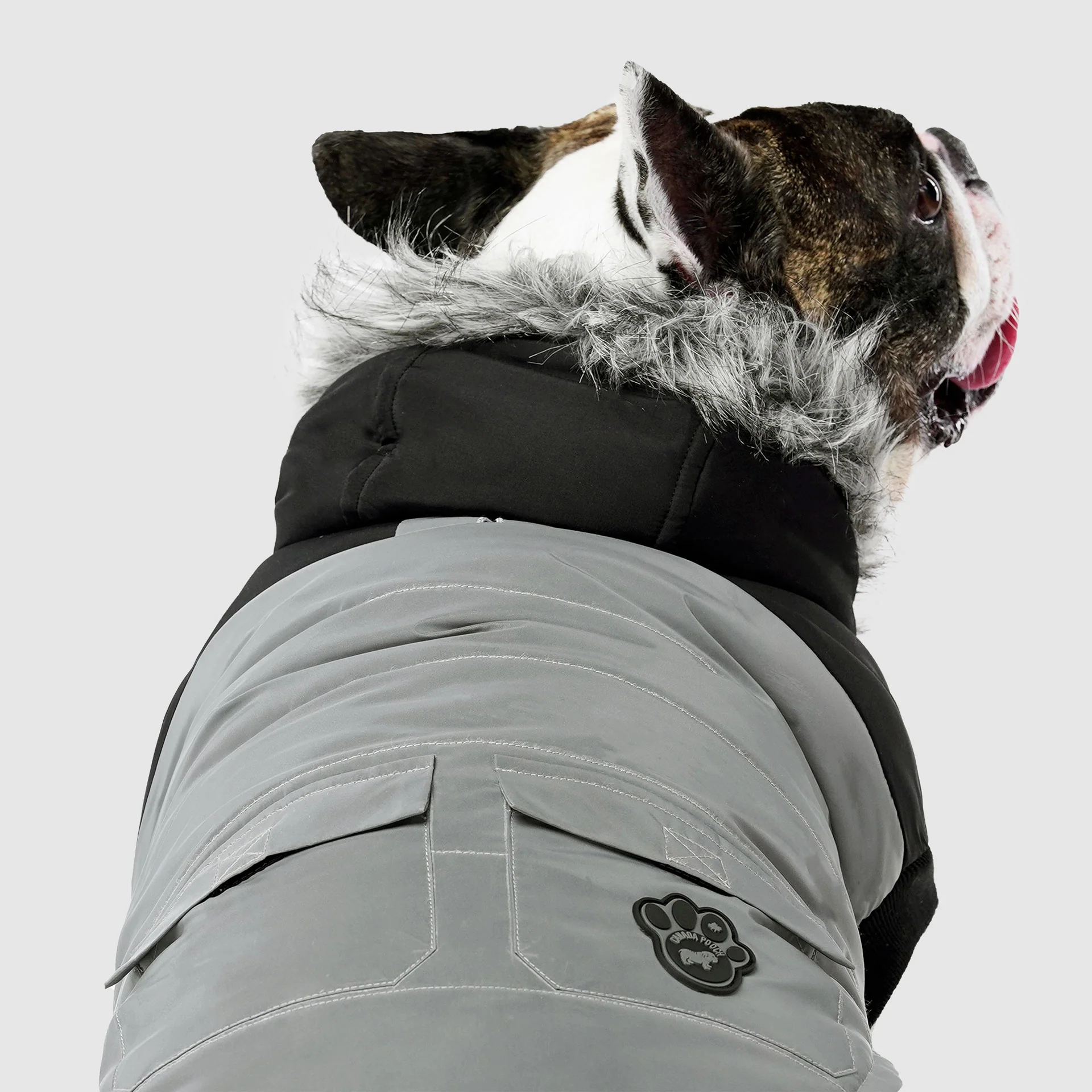 Canada Pooch True North Parka - Image 2
