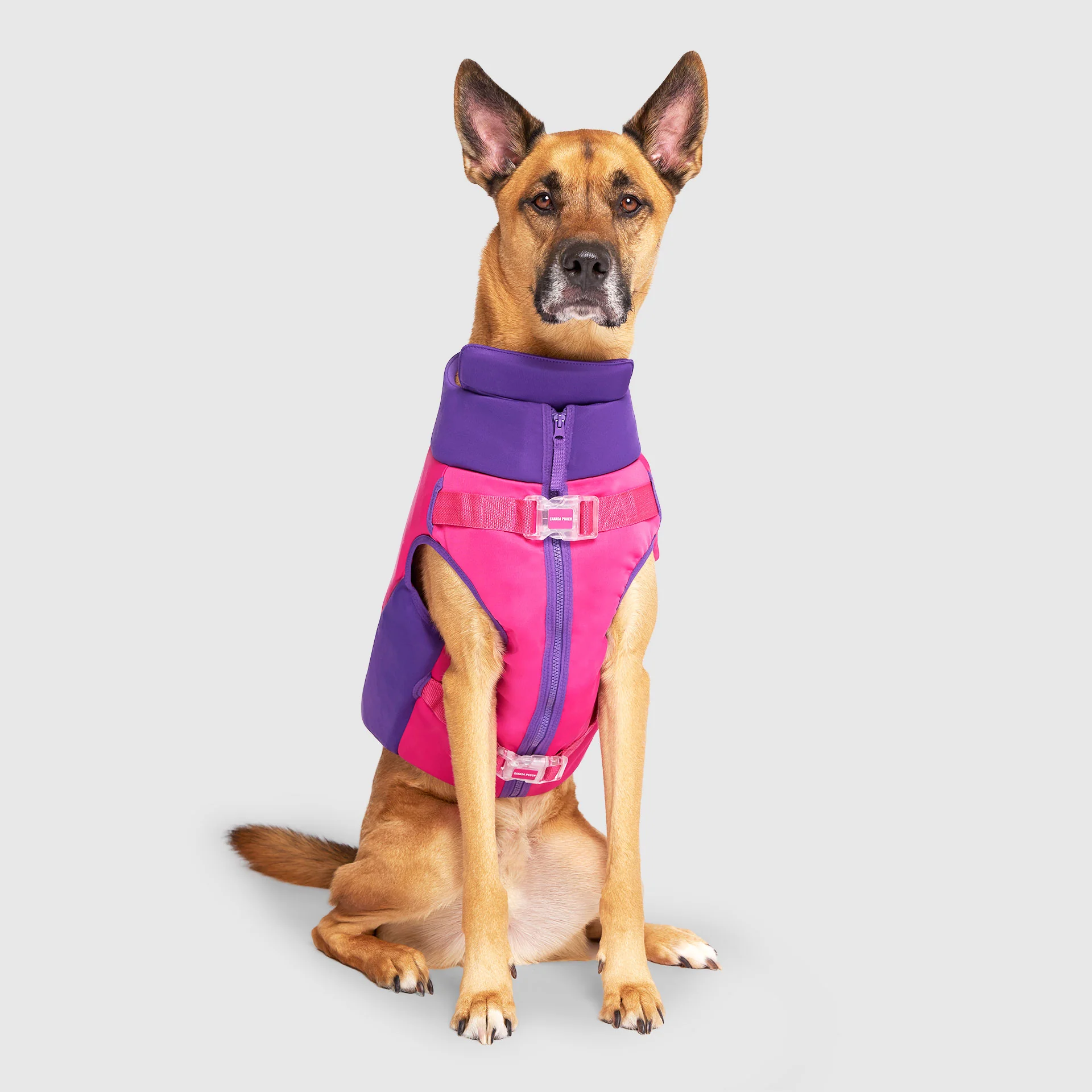 Canada Pooch High Tide Life Jacket - Image 8